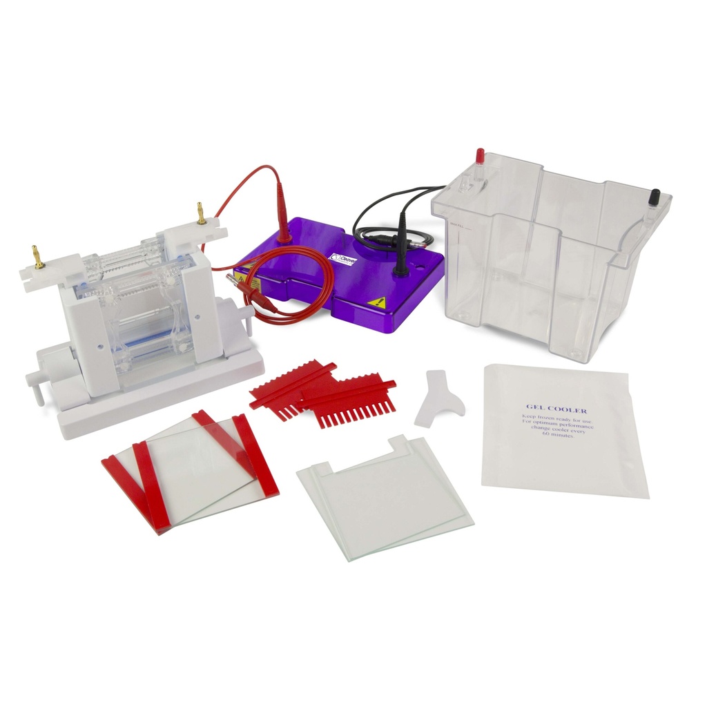 OmniPAGE Mini Dual Vertical Gel Electrophoresis Tank 10 x 10cm. Complete with 2 Sets of Glass Plates, 1mm Thick Bonded Spacers, 2 x 12 Sample, 1mm Thick Combs Including Caster. CLAMP VERSION